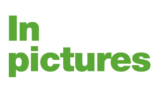 In pictures