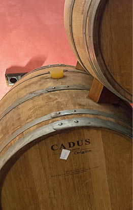 A row of wine barrels are lined up on a floor. Description generated by AI