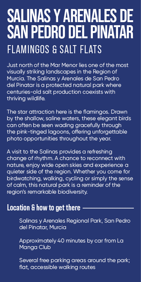 SALINAS Y ARENALES DE SAN PEDRO DEL PINATAR FLAMINGOS & SALT FLATS Just north of the Mar Menor lies one of the most v...