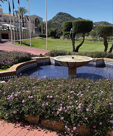 A fountain with blue water and purple flowers. Description generated by AI