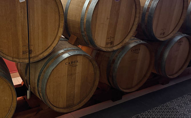 A row of wine barrels are lined up on a floor. Description generated by AI