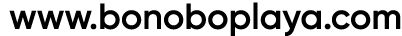  www.bonoboplaya.com