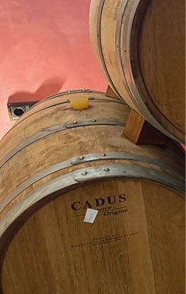 A row of wine barrels are lined up on a floor. Description generated by AI