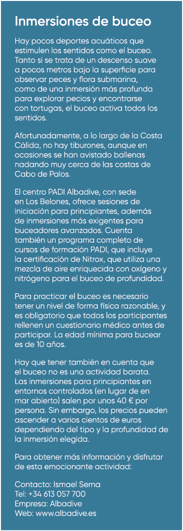Inmersiones de buceo Hay pocos deportes acu ticos que estimulen los sentidos como el buceo. Tanto si se trata de un d...