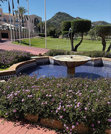 A fountain with blue water and purple flowers. Description generated by AI
