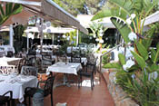 An outdoor dining area with multiple tables covered in white tablecloths, surrounded by black chairs, shaded by large umbrellas and awnings, and decorated with green plants and white flowers. Description generated by AI