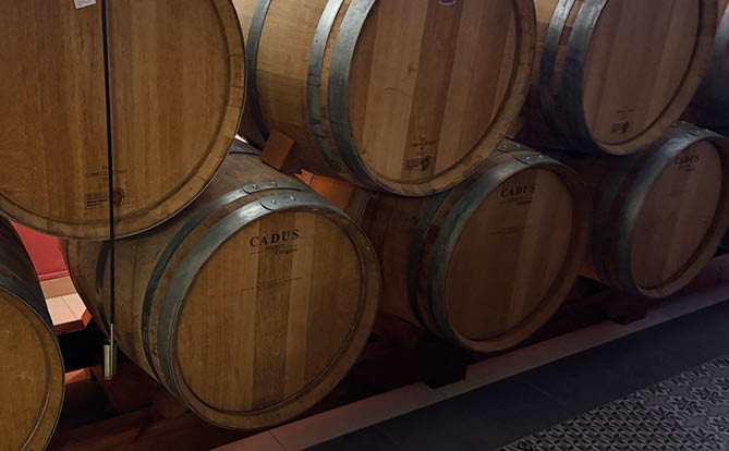 A row of wine barrels are lined up on a floor. Description generated by AI
