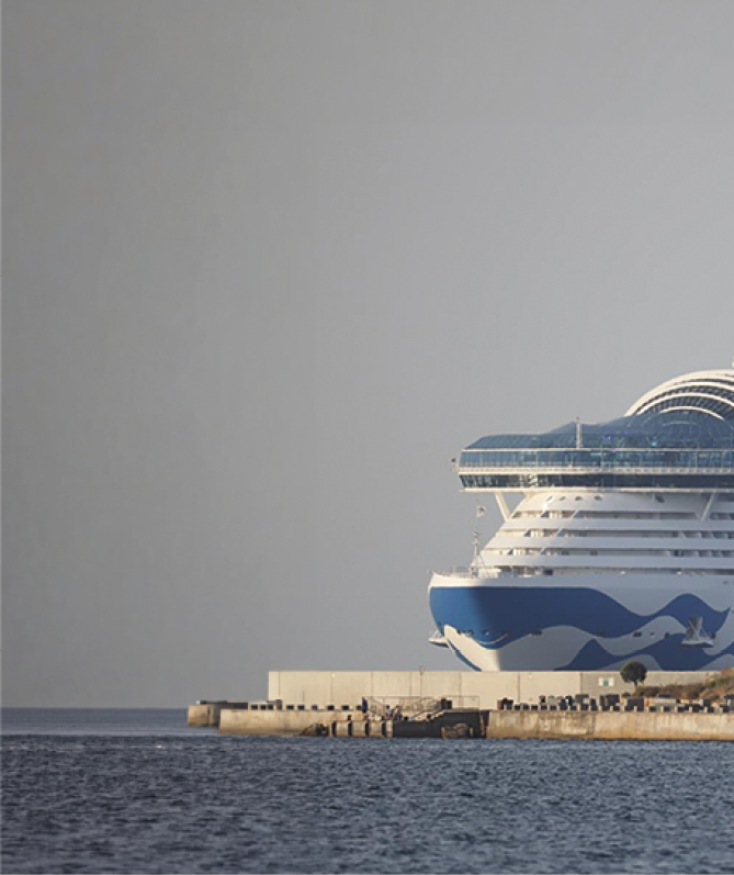 A large blue and white cruise ship is docked at a pier. Description generated by AI