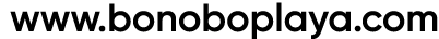  www.bonoboplaya.com