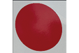 A red circle on a white background. Description generated by AI