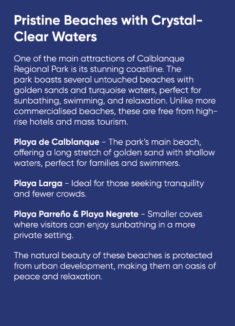 Pristine Beaches with Crystal Clear Waters One of the main attractions of Calblanque Regional Park is its stunning co...