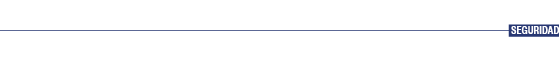 SEGURIDAD